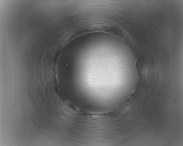 X0000054430868200508121816