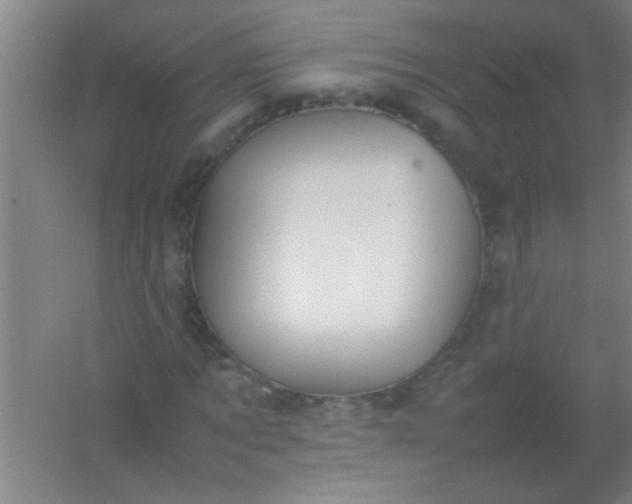 X0000054430869200508121816