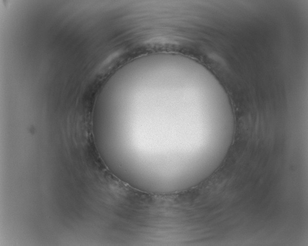 X0000054430870200508121816