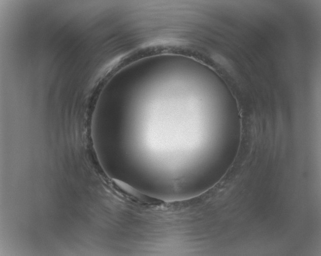 X0000054430872200508121816