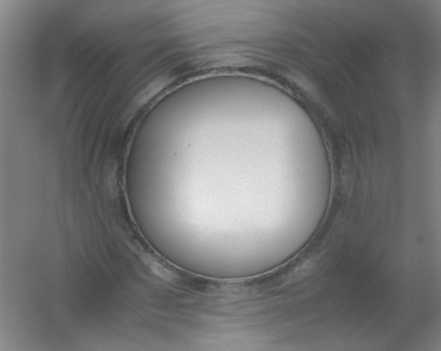 X0000054430873200508121816