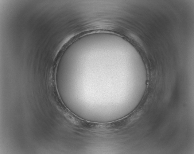 X0000054430875200508121816