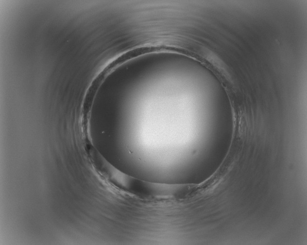 X0000054430876200508121815