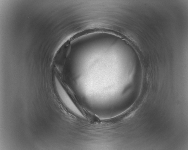 X0000054430877200508121815