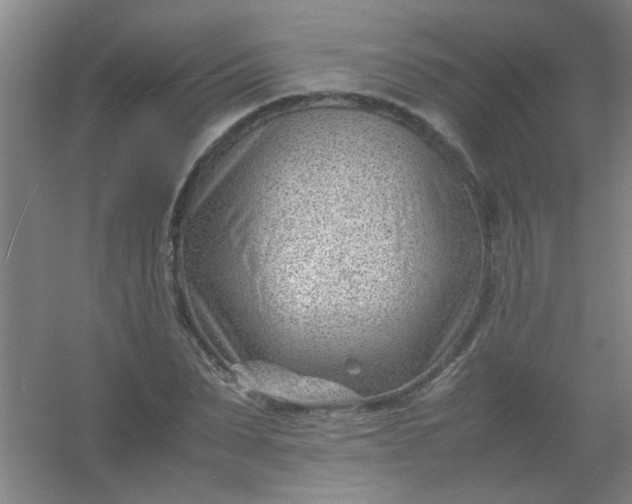 X0000054430879200508121815