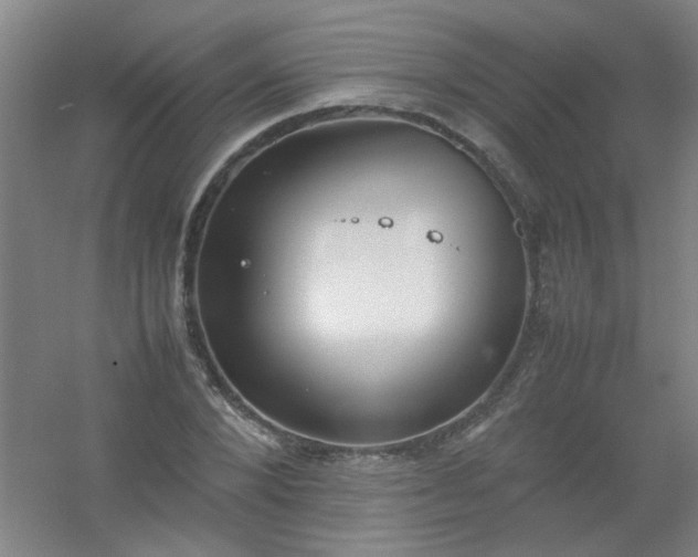 X0000054430880200508121815