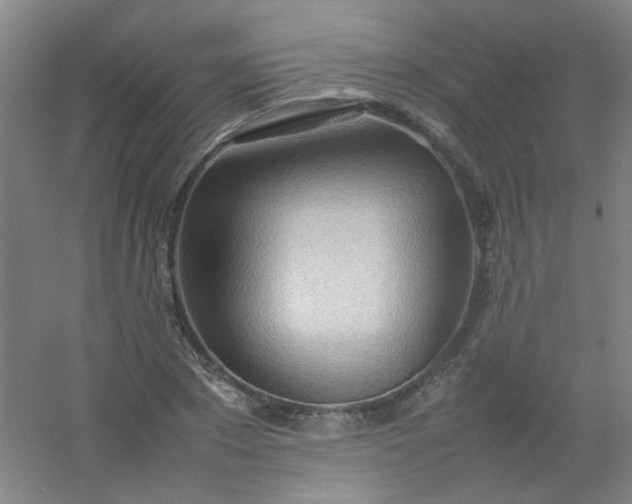 X0000054430881200508121815