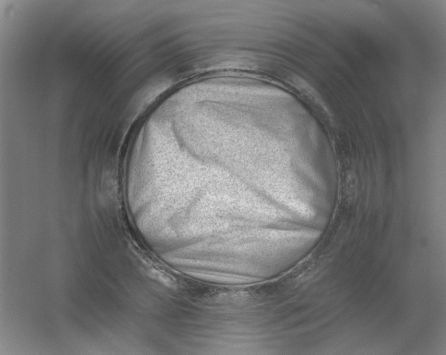 X0000054430882200508121815