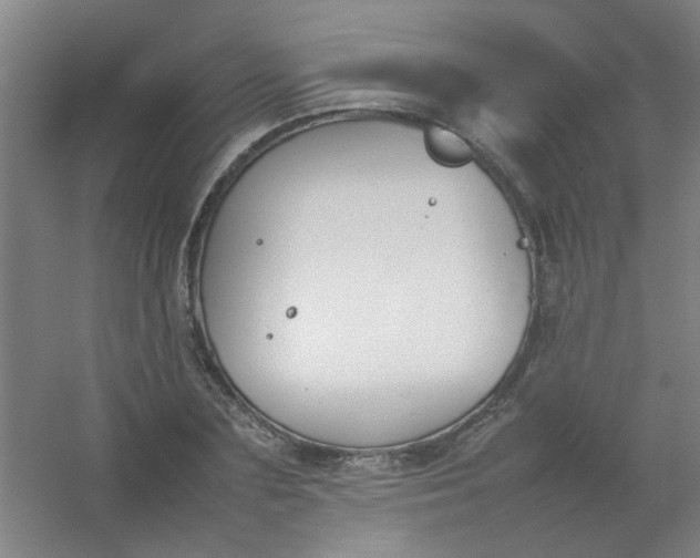 X0000054430883200508121815