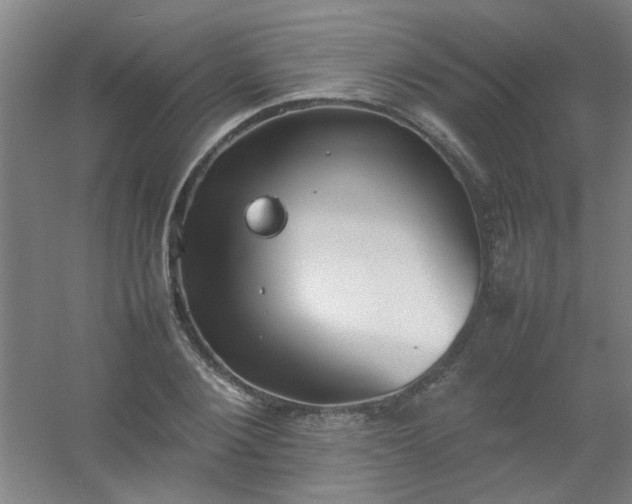 X0000054430884200508121815