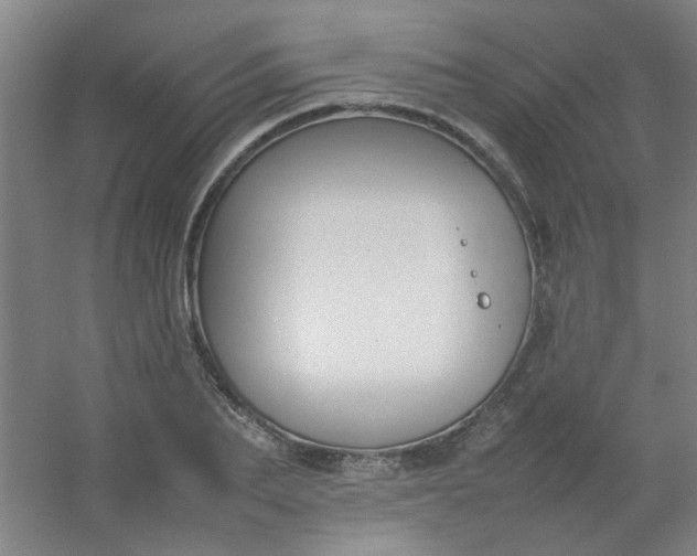 X0000054430887200508121815