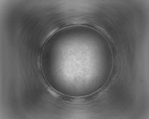 X0000054430889200508121815