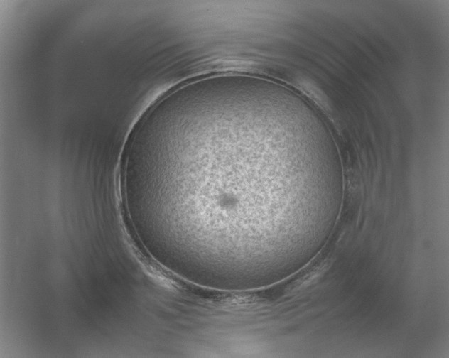 X0000054430891200508121815