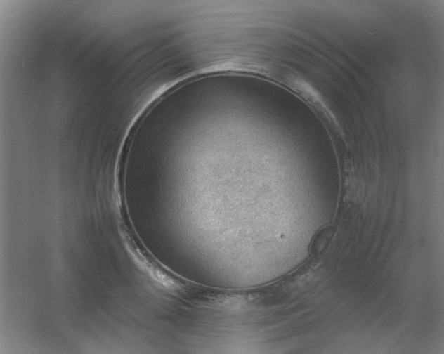 X0000054430892200508121815