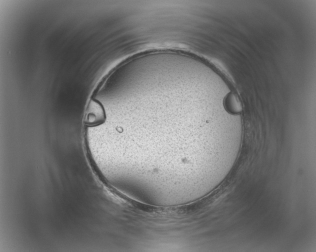 X0000054430895200508121815