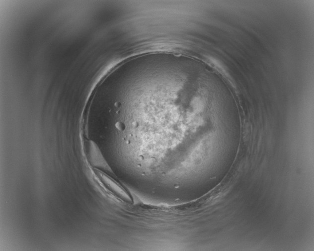 X0000054430899200508121815