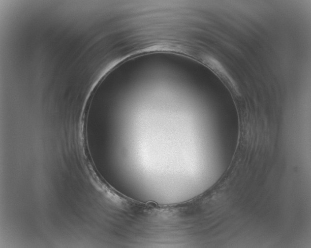 X0000054430900200508121815