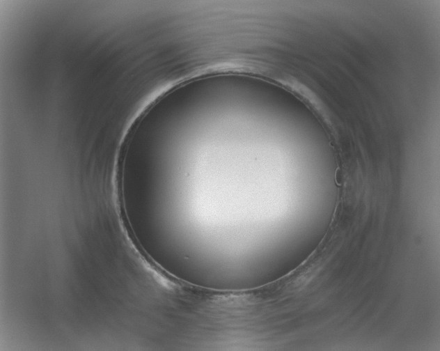 X0000054430902200508121815