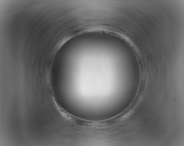 X0000054430905200508121815