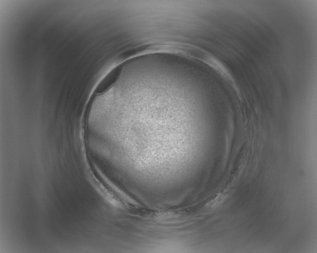 X0000054430907200508121815