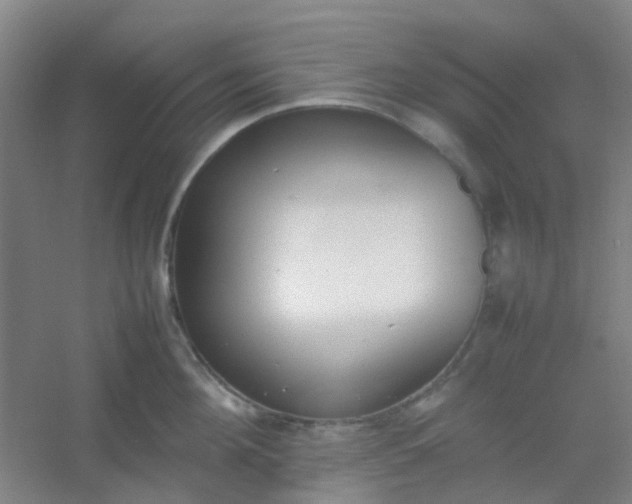 X0000054430908200508121815