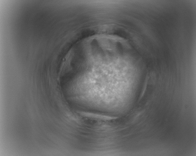 X0000054430913200508121814