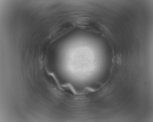 X0000054430915200508121814