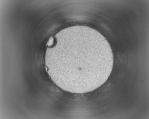 X0000054430918200508121814