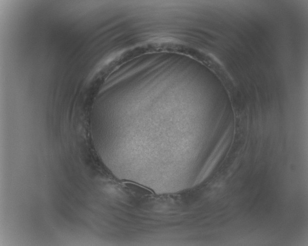 X0000054430919200508121814