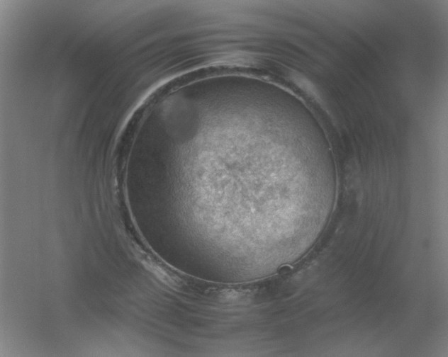 X0000054430923200508121814