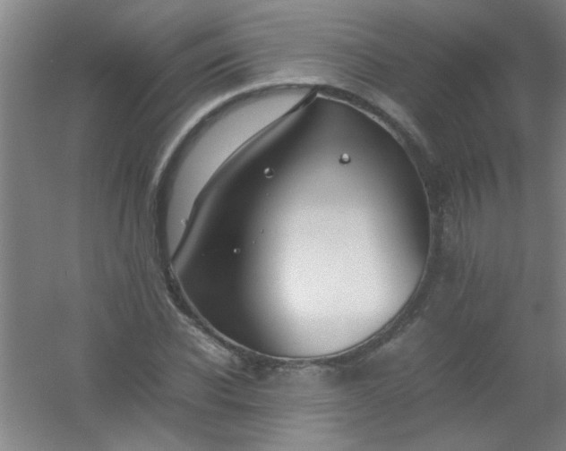 X0000054430926200508121814