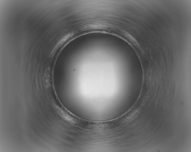 X0000054430930200508121814