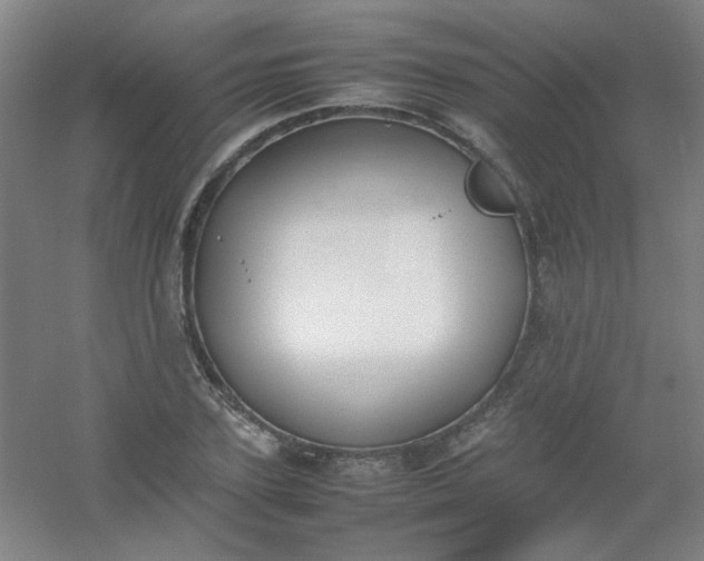 X0000054430931200508121814