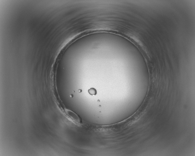 X0000054430933200508121814