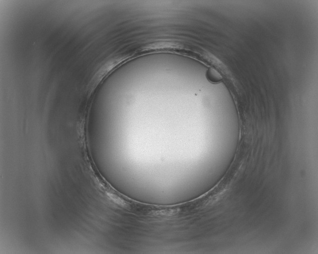 X0000054430937200508121814