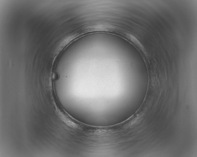 X0000054430938200508121814