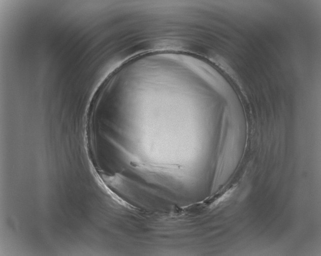 X0000054430941200508121815