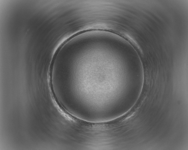 X0000054430944200508121815