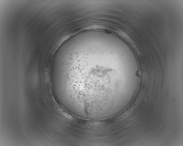 X0000054430945200508121815