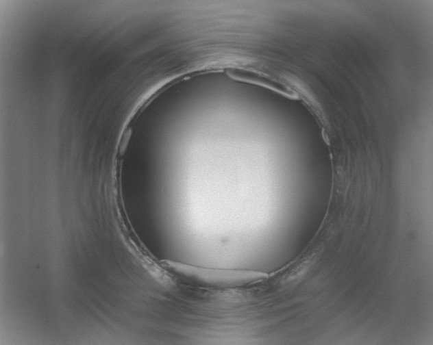 X0000054430948200508121815