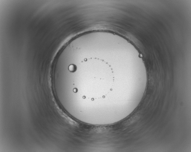 X0000054430950200508121815