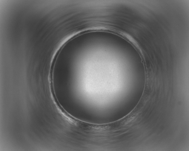 X0000054430951200508121815