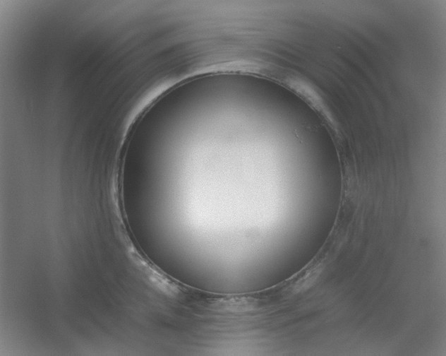 X0000054430952200508121815