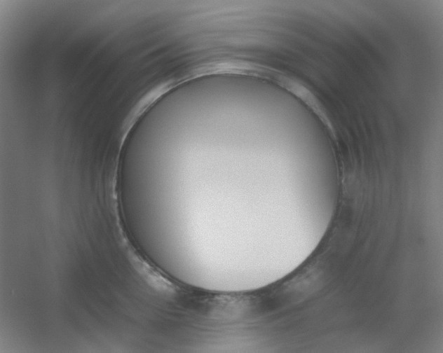 X0000054430954200508121815