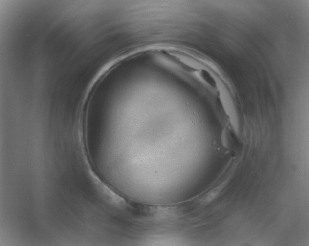 X0000054430958200508121815