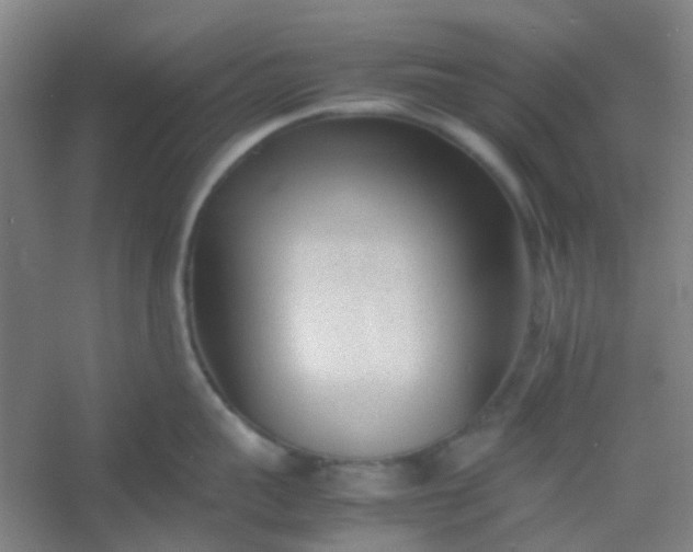 X0000054430959200508121815