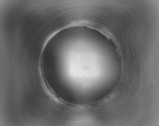 X0000054430960200508121815