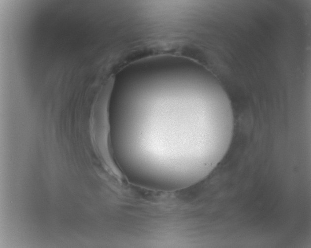 X0000054430961200508121814