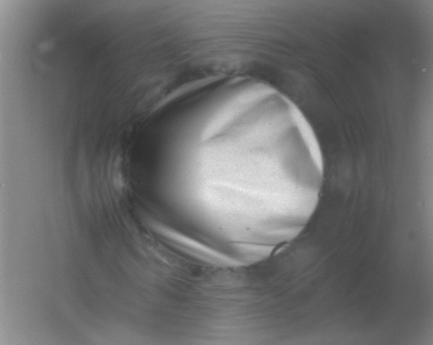 X0000054430962200508121814