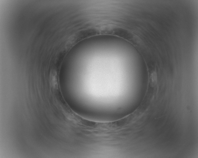 X0000054430963200508121814